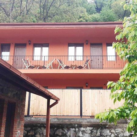 Guest House Borjomula ボルジョミ エクステリア 写真